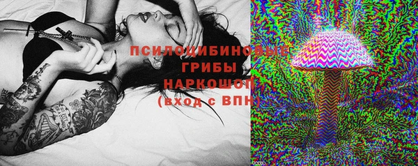 соль ск Липки