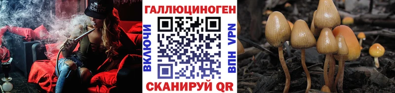 купить наркотик  Копейск  OMG   Галлюциногенные грибы Psilocybe 