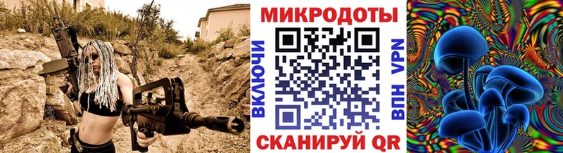 Псилоцибиновые грибы Cubensis Копейск