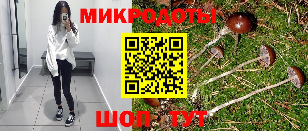 Копейск  Псилоцибиновые грибы Cubensis  Вход с VPN 
